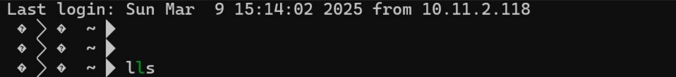 image-20250309151616839